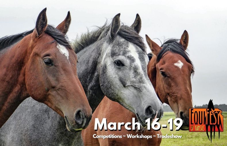 Equifest of Kansas