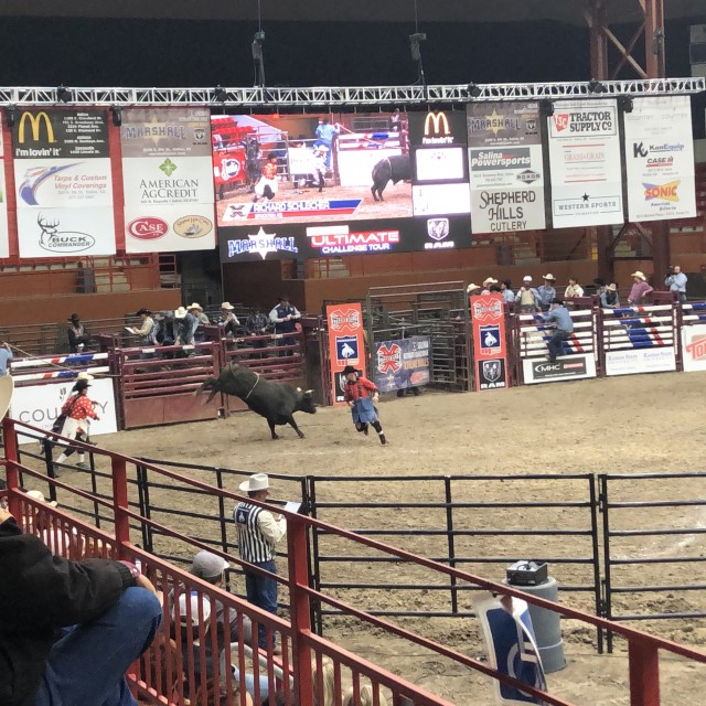 PRCA Xtreme Bulls 2019 Tony's Pizza Events Center Salina KS