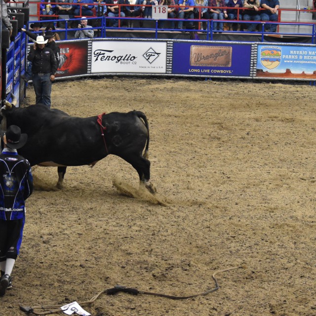 Champions Bull Riding 2017 Salina, KS