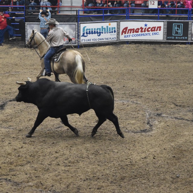 Champions Bull Riding 2017 Salina, KS
