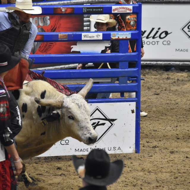 Champions Bull Riding 2017 Salina, KS